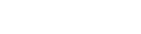 GeoVision logo