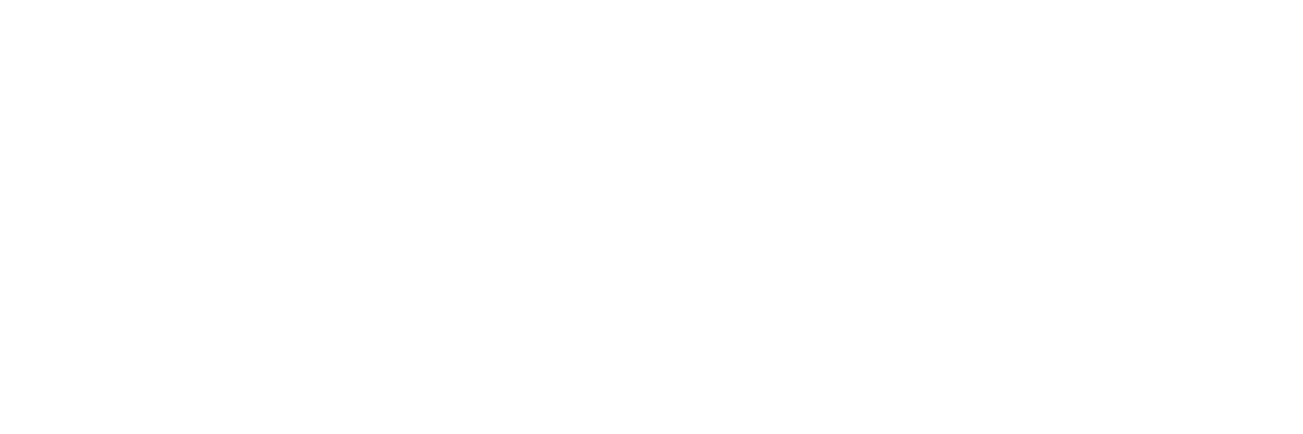 Luma Surveillance logo
