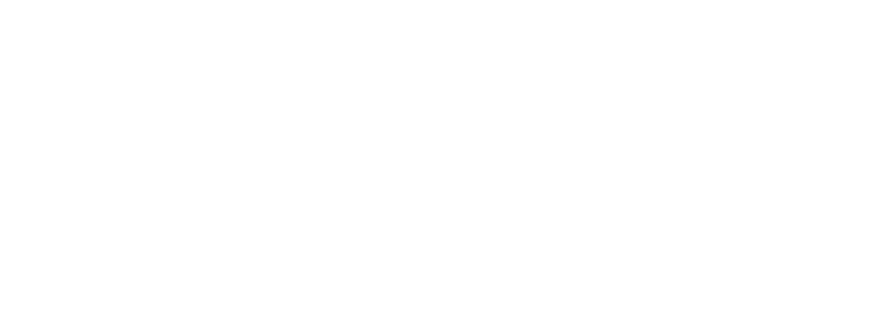 2GIG logo