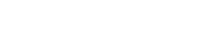 DSC logo